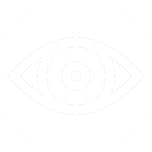 vission1